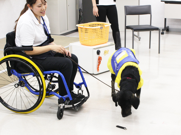 介助犬セミナー♪